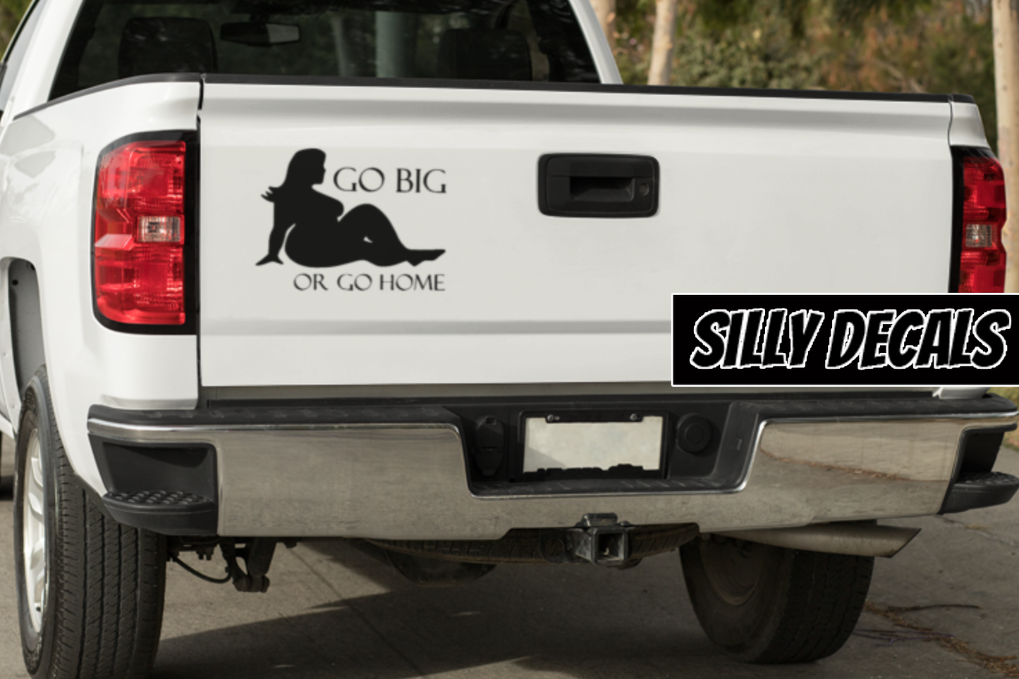 Go Big or Go Home; Funny Vinyl Decals Suitable For Cars, Windows, Walls, and More!