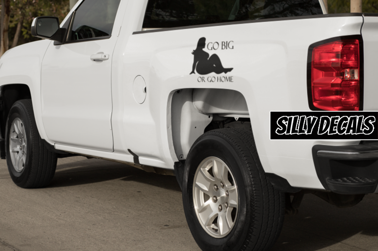 Go Big or Go Home; Funny Vinyl Decals Suitable For Cars, Windows, Walls, and More!