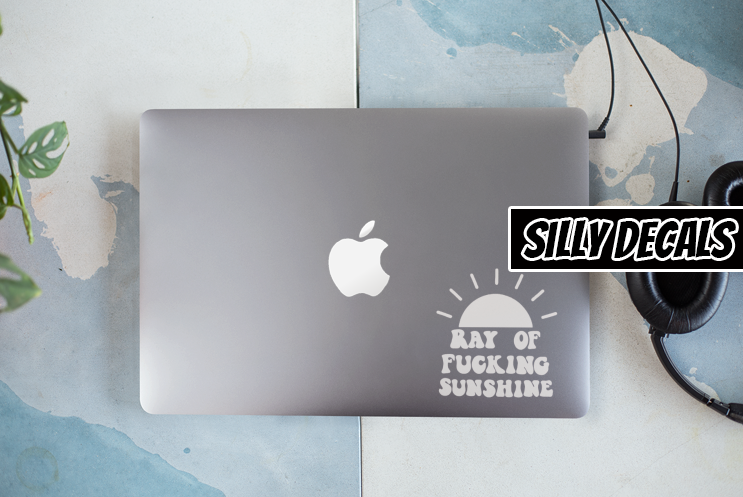 Ray Of Fucking Sunshine; Funny Vinyl Decals Suitable For Cars, Windows, Walls, and More!