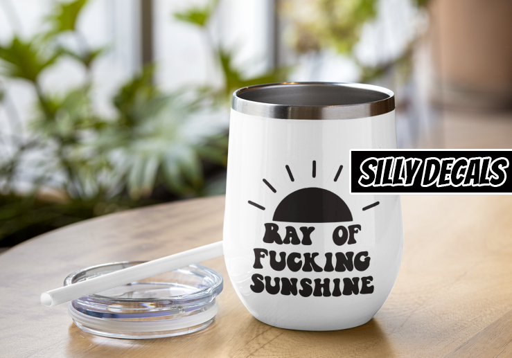 Ray Of Fucking Sunshine; Funny Vinyl Decals Suitable For Cars, Windows, Walls, and More!