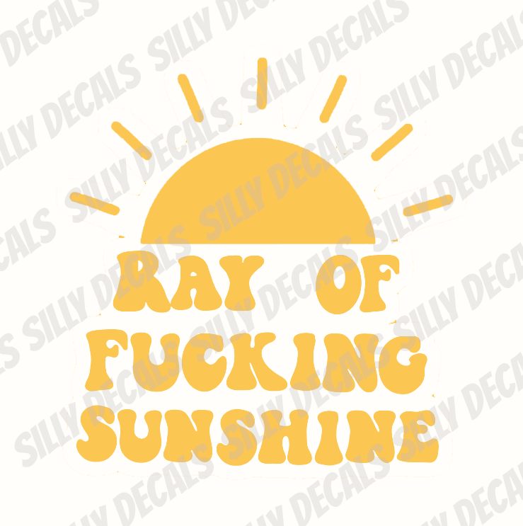 Ray Of Fucking Sunshine; Funny Vinyl Decals Suitable For Cars, Windows, Walls, and More!